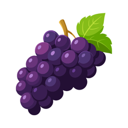 Small Fruit Grape