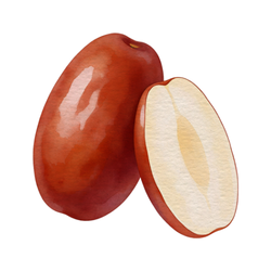 Small Fruit Jujube