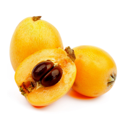 Small Fruits Loquat