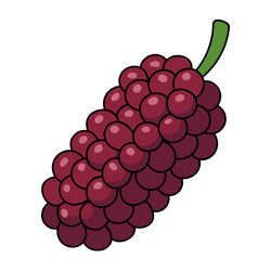 Fruit Mulberry - Small and Large Fruits