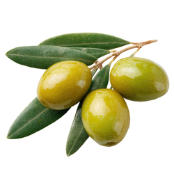 Small Fruit Olive