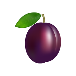 Plum