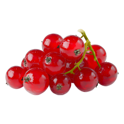 Small Fruit Red currant