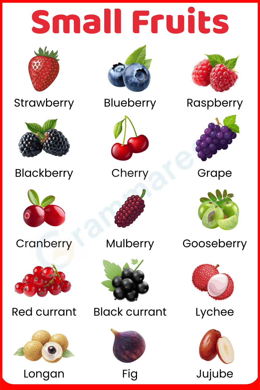 Small Fruits List with Names
