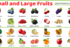 90+ Small and Large Fruit Names with their Pictures