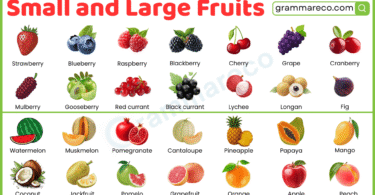 90+ Small and Large Fruit Names with their Pictures