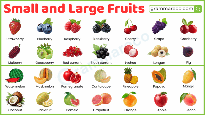 90+ Small and Large Fruit Names with their Pictures