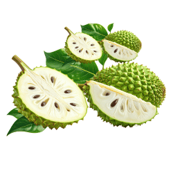 Soursop (Graviola)