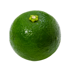 Sudachi - Japanese Type of Citrus