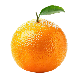 Sweet and Bitter Fruits Names