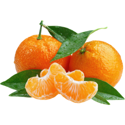 Tangerine Citrus Fruit Names