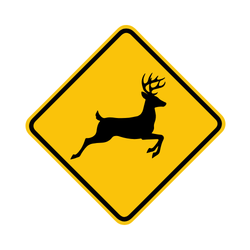 Deer Crossing