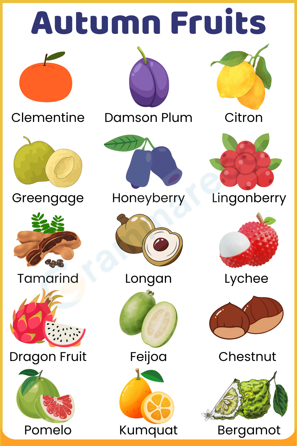 Tropical and Exotic Fruits in Autumn Season with Pictures