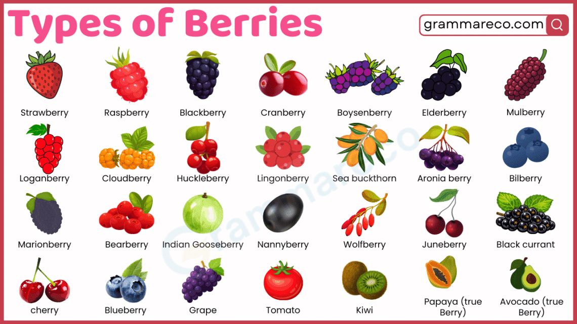 Types Of Berries With Pictures List Of 60 Berries With Names 