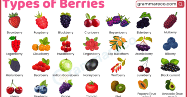 Types of Berries with Pictures: List of 60+ Berries with Names