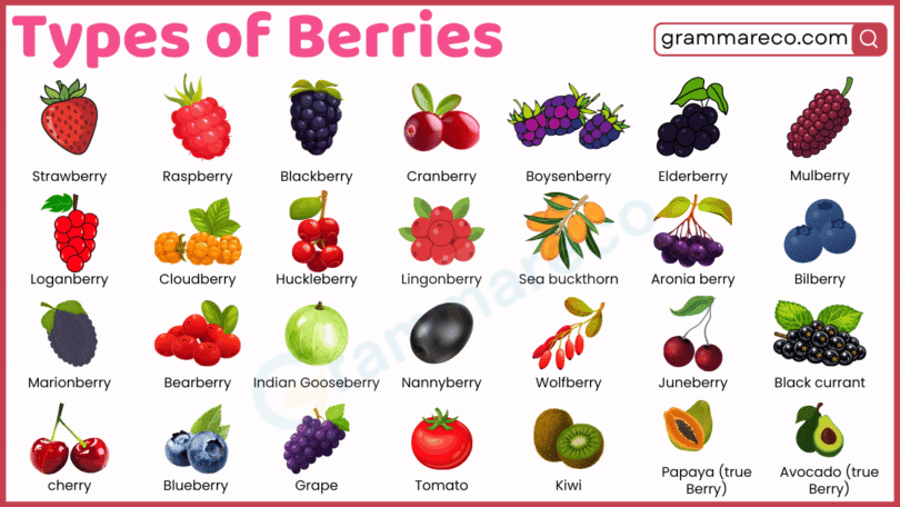 Types of Berries with Pictures: List of 60+ Berries with Names