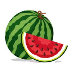 Watermelon - Types of Melons and Pictures