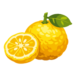 Yuzu Fruits in Autumn Season