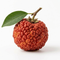 Zhe Fruit