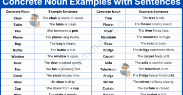 120+ Examples of Concrete Noun in Sentences with Pictures
