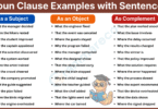 120+ Noun Clause Examples As Subject, Object and Complement