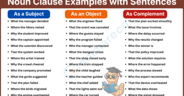 120+ Noun Clause Examples As Subject, Object and Complement