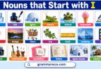 150+ Nouns That Start with I: Words with Examples and Pictures