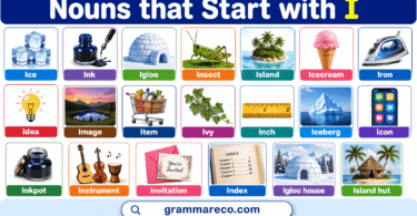 150+ Nouns That Start with I: Words with Examples and Pictures
