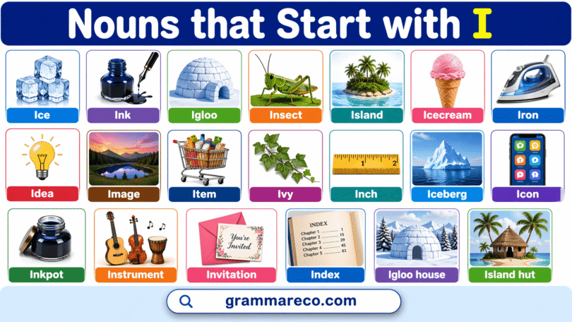 150+ Nouns That Start with I: Words with Examples and Pictures