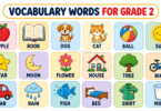 150+ Vocabulary Words for Grade 2 with Pictures and Meanings