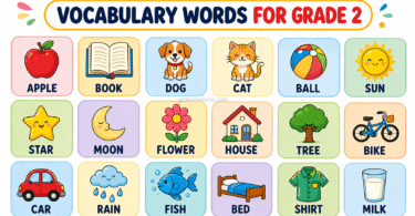 150+ Vocabulary Words for Grade 2 with Pictures and Meanings