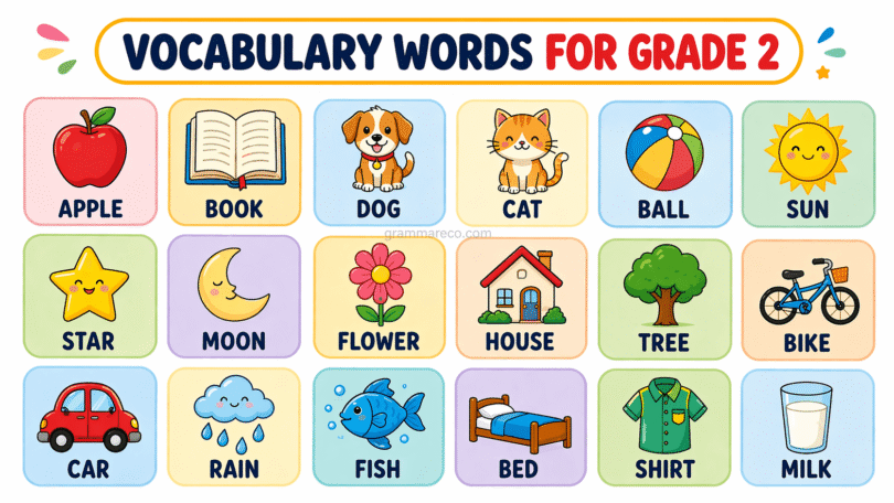 150+ Vocabulary Words for Grade 2 with Pictures and Meanings