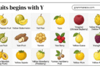 21+ Fruits Begins with Y: Complete List with Names and Facts