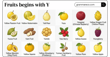 21+ Fruits Begins with Y: Complete List with Names and Facts