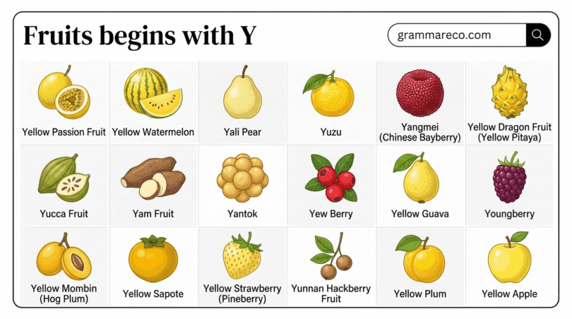 21+ Fruits Begins with Y: Complete List with Names and Facts