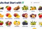 21 Fruit that Starts with V: Complete List with their Pictures
