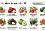 31 Fruits That Start With W [Useful W Fruits List with Pictures]