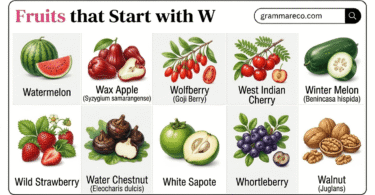31 Fruits That Start With W [Useful W Fruits List with Pictures]