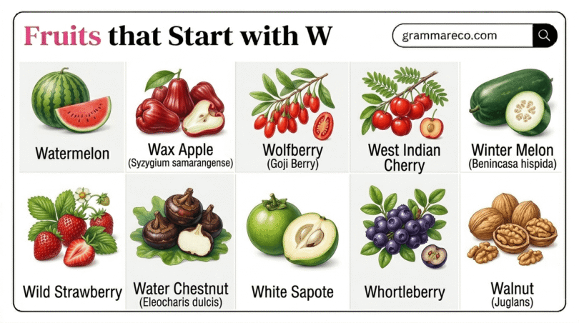 31 Fruits That Start With W [Useful W Fruits List with Pictures]