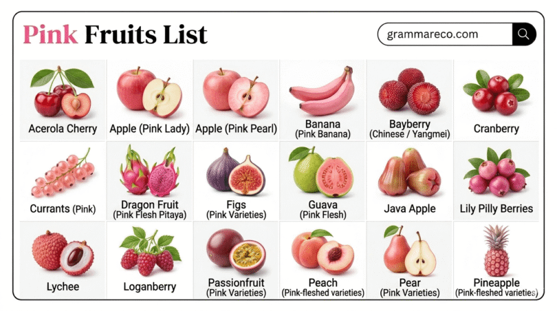33 Pink Fruits Names: Complete List with their Pictures and Facts