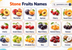 50+ Types of Stone Fruit List of all Stone Fruits with their Pictures