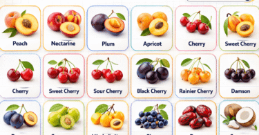 50+ Types of Stone Fruit List of all Stone Fruits with their Pictures