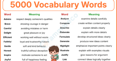 5000 Common Vocabulary Words with Meaning and Sentences pdf