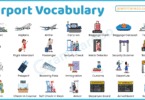 150+ Airport Vocabulary Words with Meanings, Sentences & Pictures