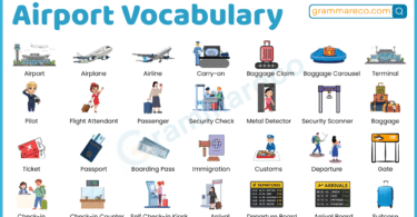 150+ Airport Vocabulary Words with Meanings, Sentences & Pictures