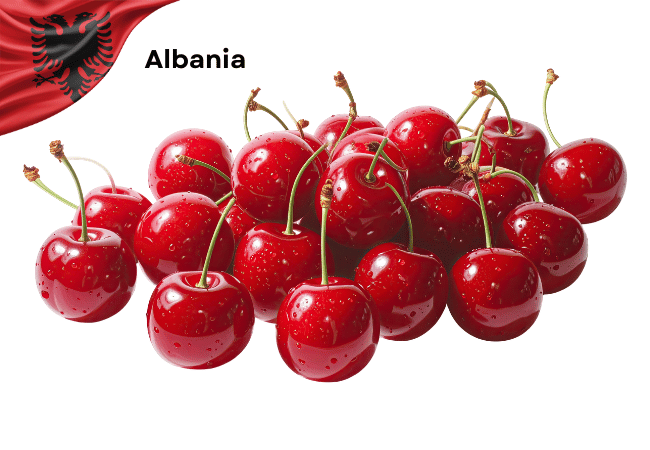 Albania National Fruit Cherry with Picture