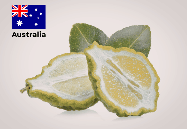 Australia National Fruit Finger Lime