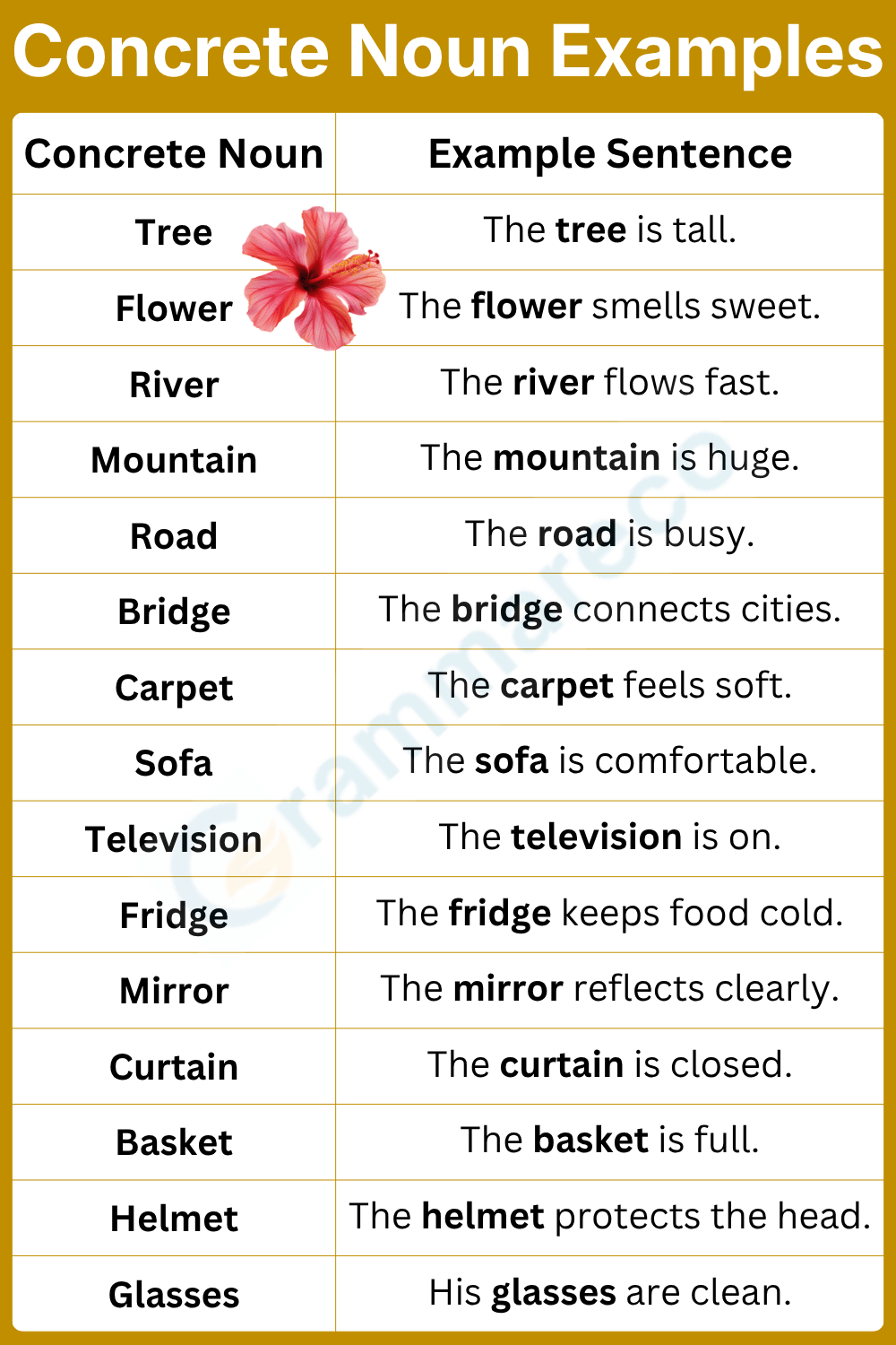 Concrete Nouns and Examples with Pictures
