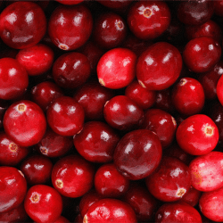 Pink color Fruit Cranberry