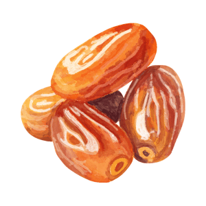Dates Stone Fruit